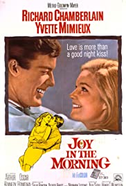 Joy in the Morning (1965) cover