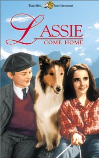 Lassie Come Home 1943 capa