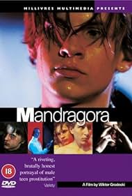 La mandrágora (1997) cover