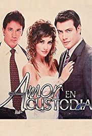 Amor en custodia (2005) cover