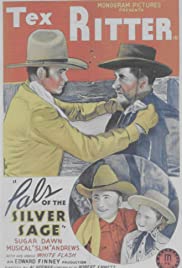 Pals of the Silver Sage 1940 copertina