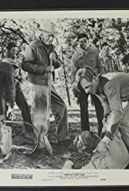 Redwood Forest Trail 1950 охватывать