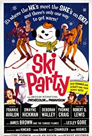 Ski Party (1965) cover