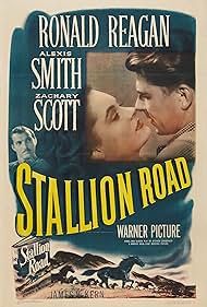 Stallion Road (1947) cover