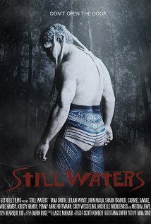 Still Waters 2011 capa