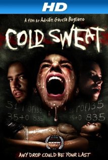 Sudor frío (2010) cover