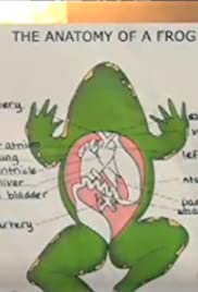 The Anatomy of a Frog (2007) cover