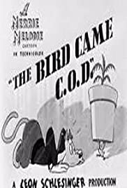 The Bird Came C.O.D. 1942 capa