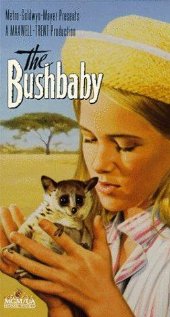 The Bushbaby 1969 copertina