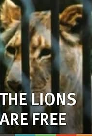 The Lions Are Free (1969) cover