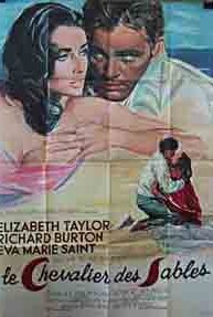 The Sandpiper (1965) cover