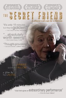 The Secret Friend (2010) cover