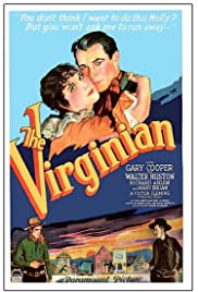The Virginian (1929) cover