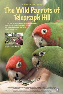 The Wild Parrots of Telegraph Hill (2003) cover