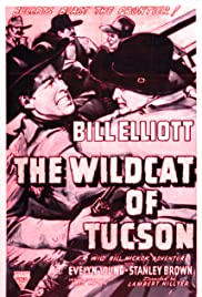 The Wildcat of Tucson 1940 copertina