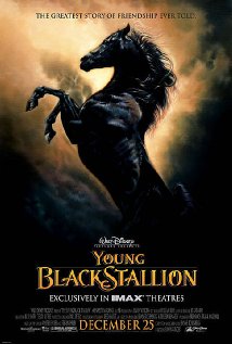 The Young Black Stallion (2003) cover