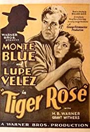 Tiger Rose 1929 copertina