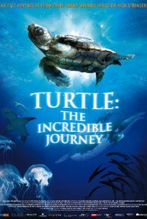 Turtle: The Incredible Journey 2009 poster