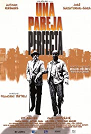 Una pareja perfecta (1998) cover
