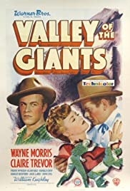 Valley of the Giants 1938 poster