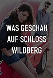 Was geschah auf Schloß Wildberg (1972) cover