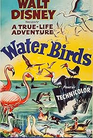 Water Birds (1952) cover