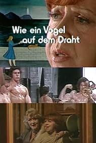 Wie ein Vogel auf dem Draht (1975) cover