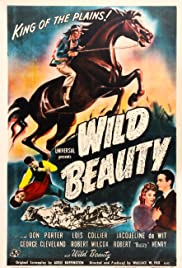Wild Beauty 1946 poster