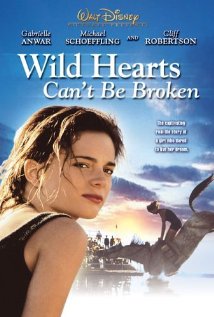 Wild Hearts Can't Be Broken 1991 poster