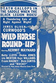 Wild Horse Roundup 1936 poster