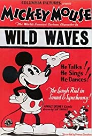 Wild Waves 1929 copertina
