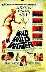 Wild Wild Winter (1966) cover