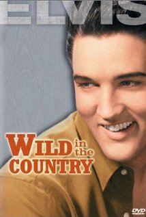 Wild in the Country 1961 poster
