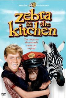 Zebra in the Kitchen 1965 poster