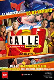 Calle 7 2009 poster