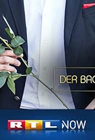 Der Bachelor (2003) cover