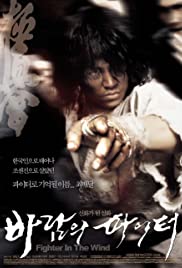 Baramui Fighter (2004) cover