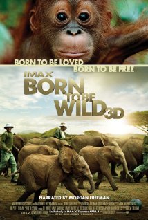 Born to Be Wild (2011) cover