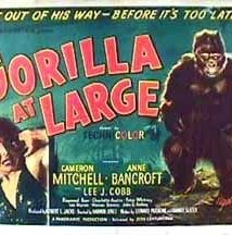 Gorilla at Large (1954) cover