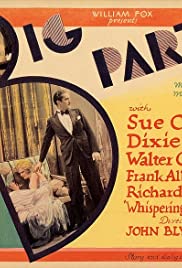 The Big Party (1930) cover