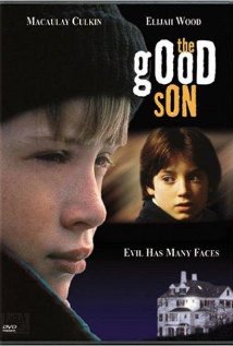 The Good Son (1993) cover