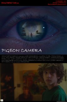 Pigeon Camera 2013 poster
