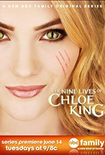The Nine Lives of Chloe King 2011 poster