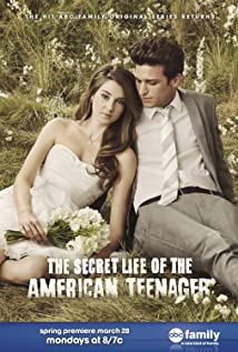 The Secret Life of the American Teenager (2008) cover