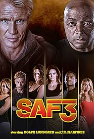 SAF3 (2013) cover