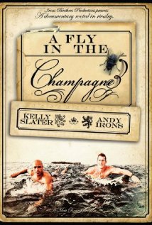 A Fly in the Champagne (2009) cover