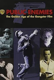 Public Enemies: The Golden Age of the Gangster Film (2008) cover