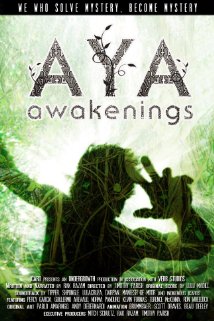 Aya: Awakenings 2013 poster