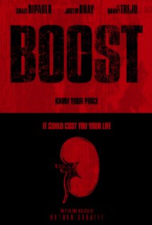 Boost (2014) cover