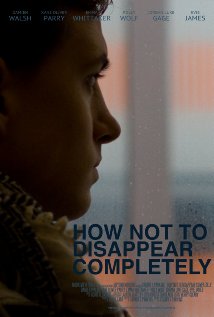 How Not to Disappear Completely 2014 capa